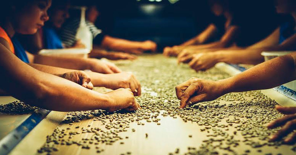 A drizzle in Brazil sends thousands of farmers weeping