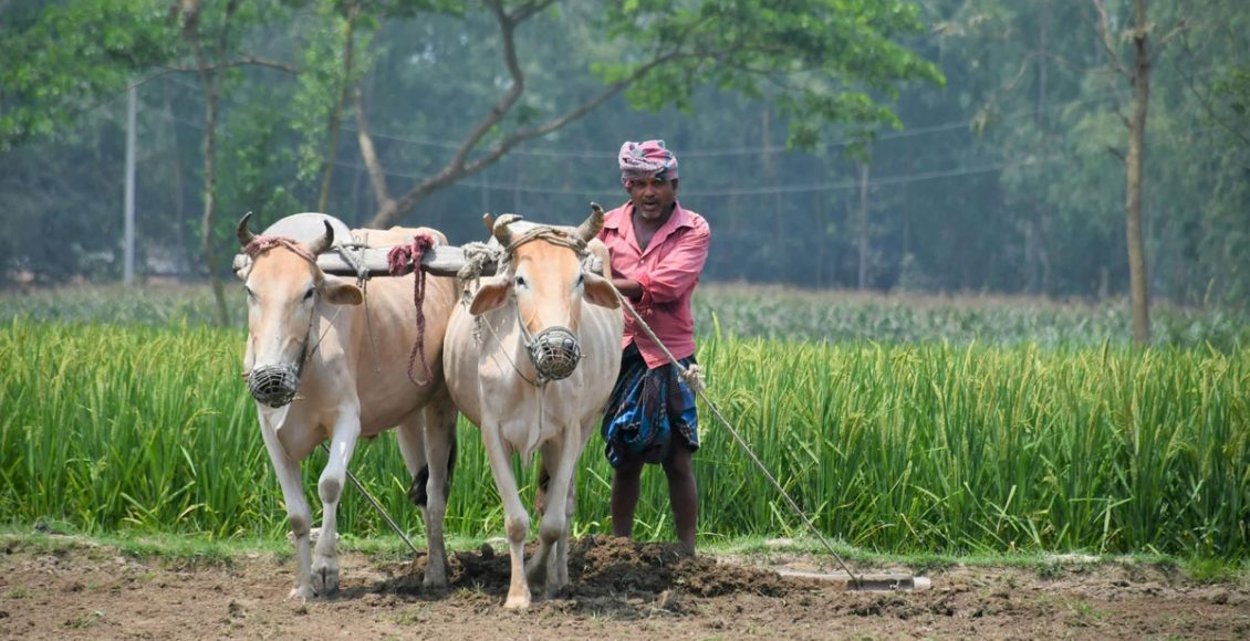 A case for modernization of agriculture in the country