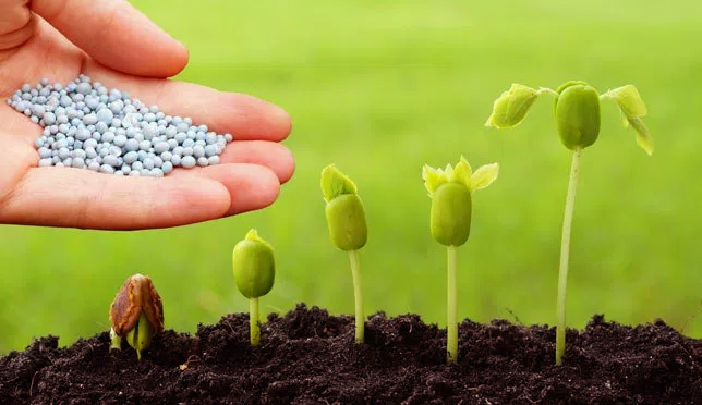 Biopesticides to Play a Critical Role in Pest Management in Future