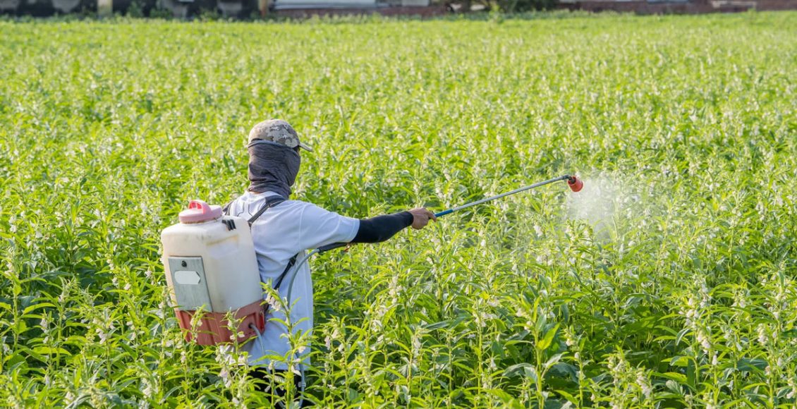 Awareness key for safe pesticide use