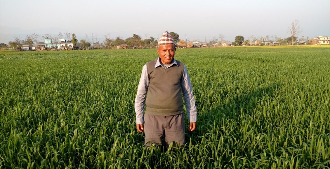 Community-based Seed System Initiative thrives in Nepal