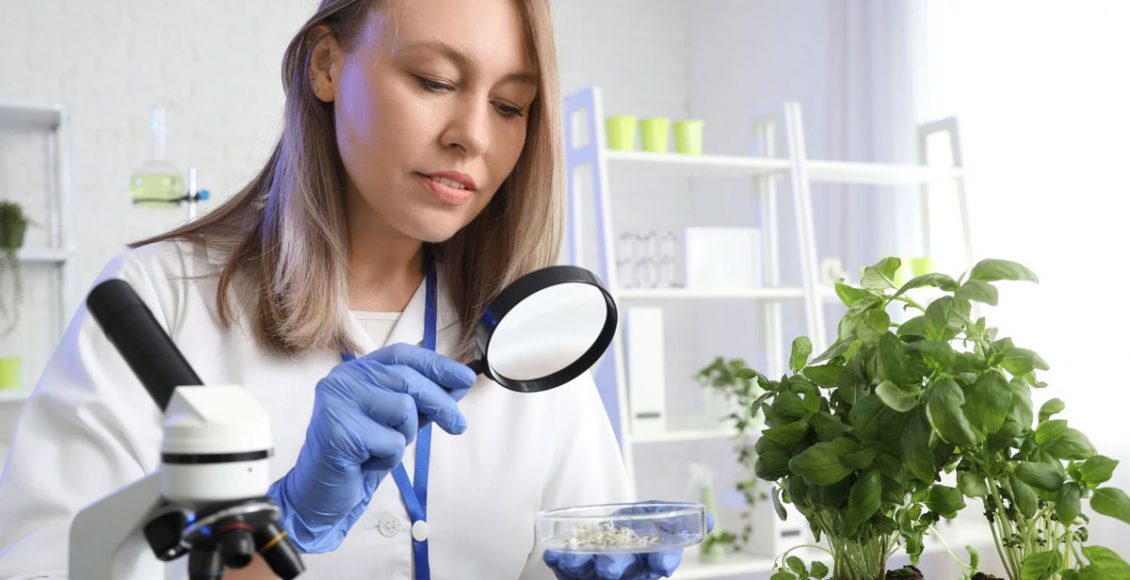 Whither genetic engineering technology in Indian Agriculture?