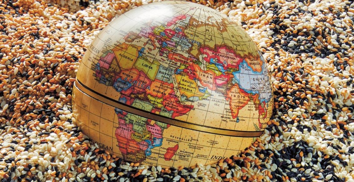 Western and Central African seed market- A lucrative business opportunity