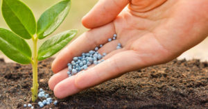 Biopesticides to Play a Critical Role in Pest Management in Future