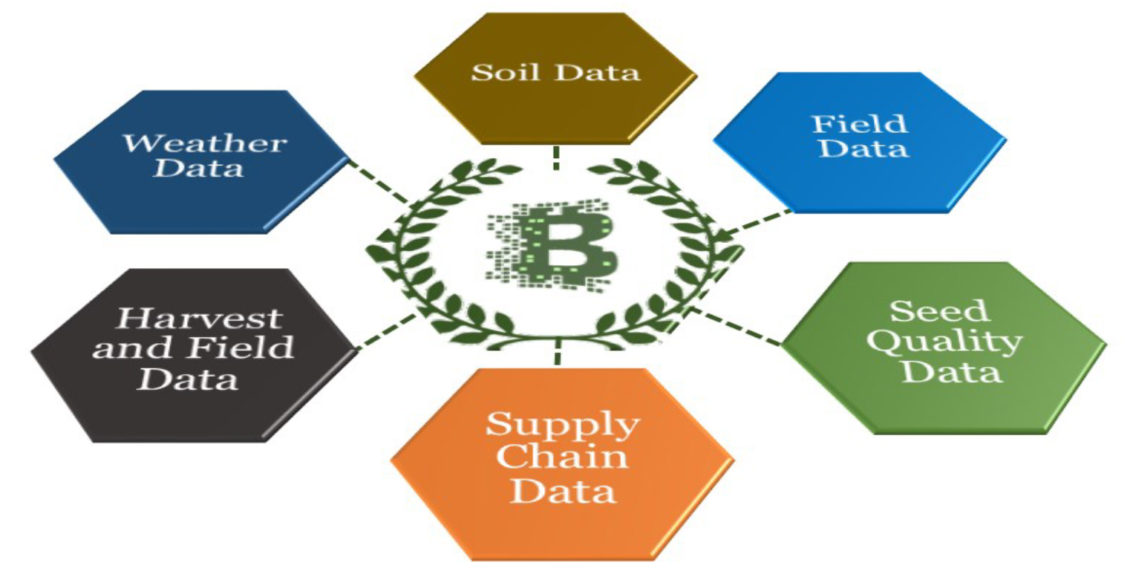 Increased Application of Blockchain Technology in Indian Agriculture Value Chain