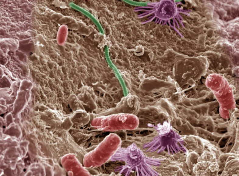 Revolutionizing Ag-Biologicals industry: Microbiome, an innovative approach