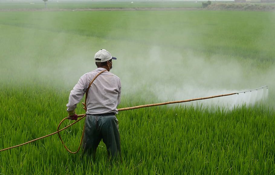 Embracing opportunities towards building a self-sufficiency in the agrochemical industry