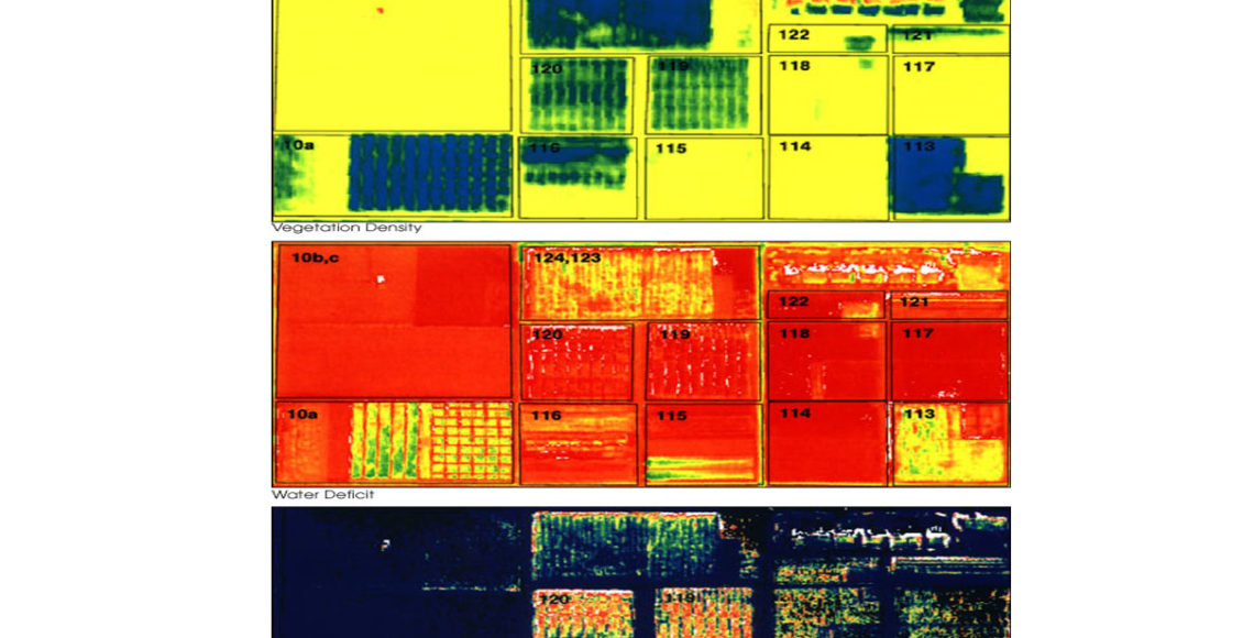 Remote Sensing, a promising Agtech tool