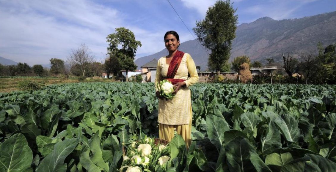 Farm Bills 2020 – A boon or bane for Indian farmers?