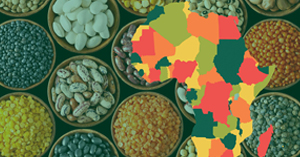 Study of Seed Systems development opportunities in 15 African countries and development of business plan for next 5 years for seeking funding opportunities