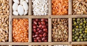 Seed Regulatory and IP Audit for leading seed company with global presence
