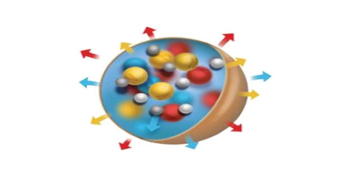 Controlled release fertilizer driven sustainable agriculture systems