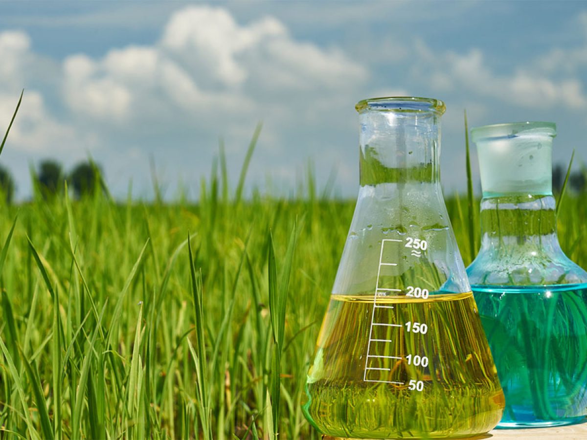 Opportunity for India becoming a global agro-chemical manufacturing hub