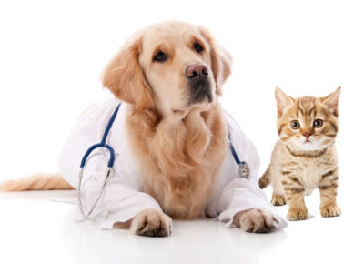 Home-Health