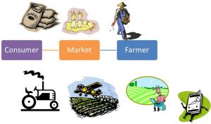 Rebooting agricultural supply chains – how the MP model can benefit every state