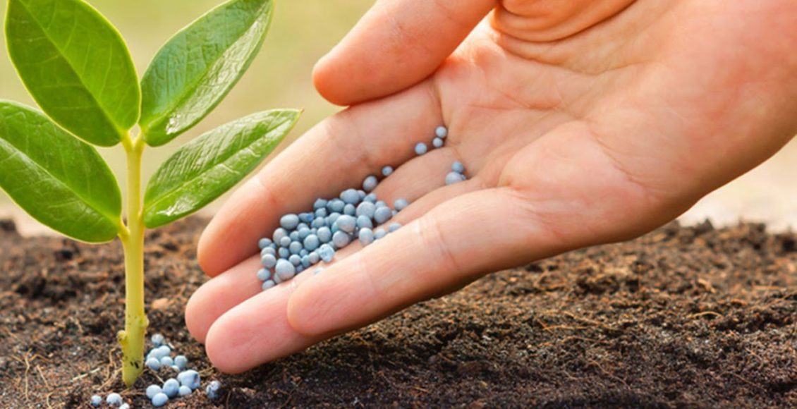 Plant Nutrition Delivery Technologies: A way to Sustainable Farming Practice