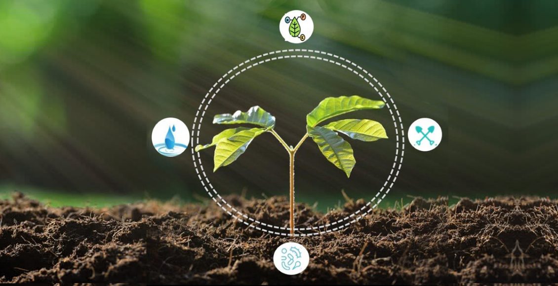 Ag biologicals: A surging business opportunity