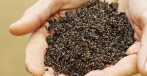Ag Biologicals – answer to soil health and residue free agri-produce