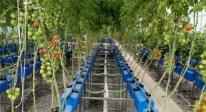 : Evolving market dynamics holds potential