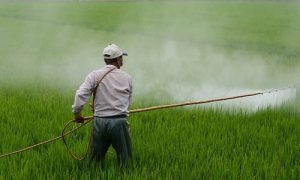 Embracing opportunities towards building a self-sufficiency in the agrochemical industry