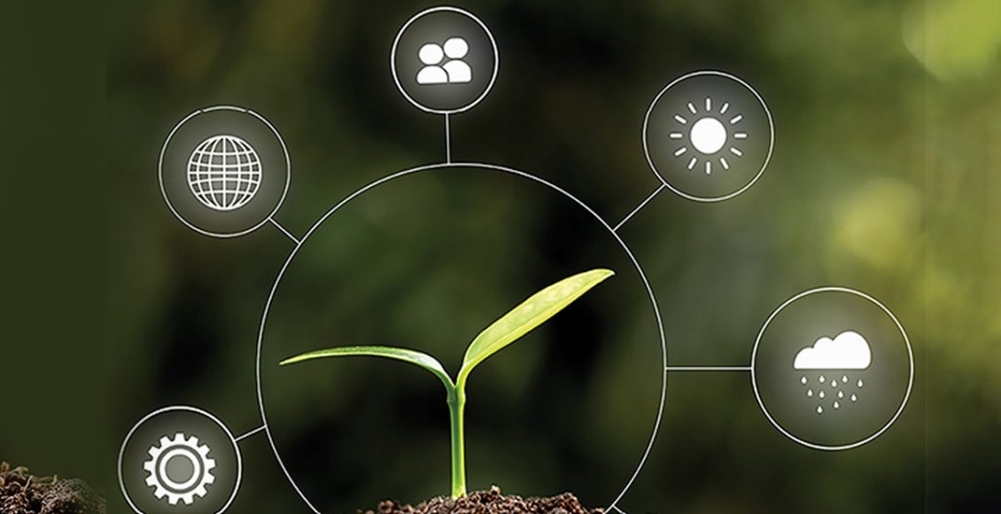 Accelerating Breeding Programs using Crop Simulation Models