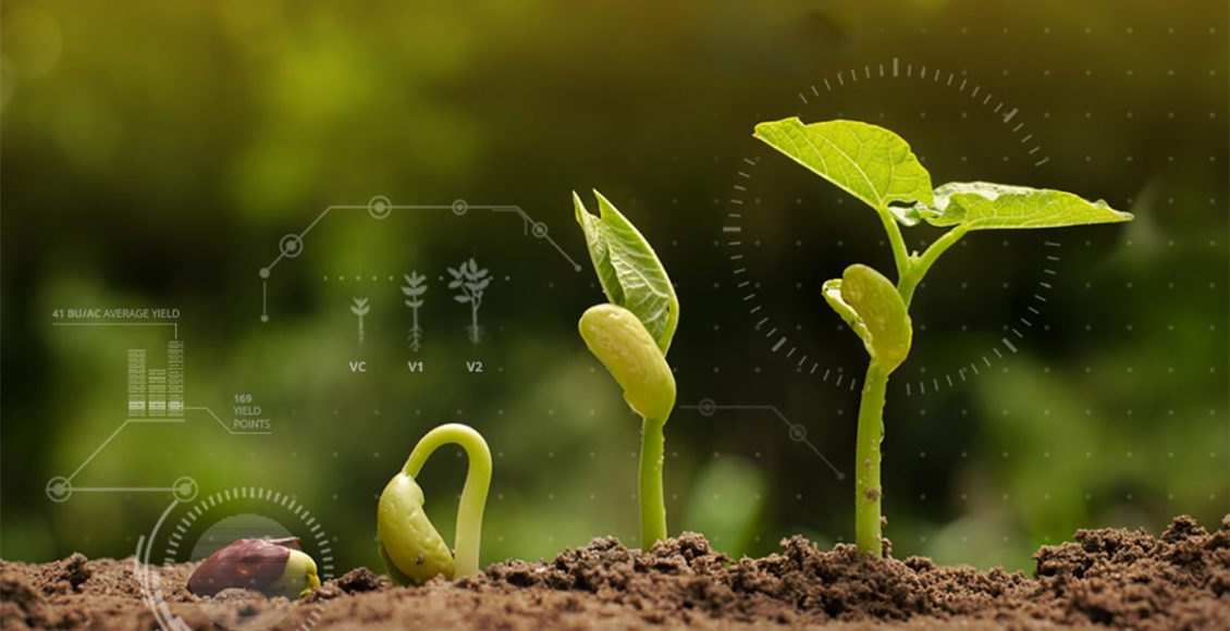 Enhancing Traceability in Seed Value Chain by Digitization