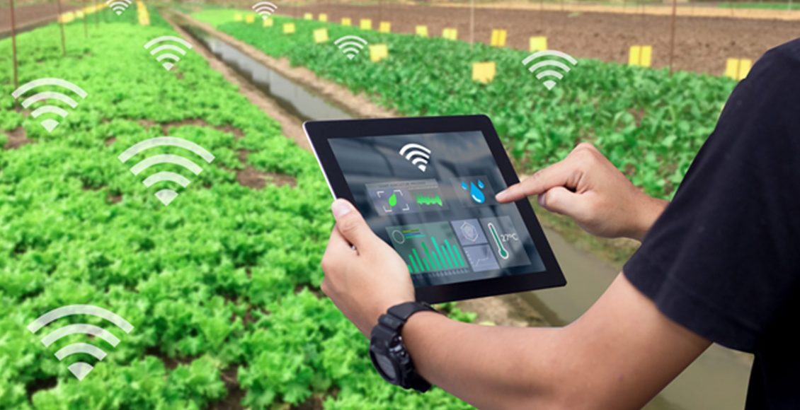 Technology led Transformation for Augmenting Post-Harvest Supply Chains