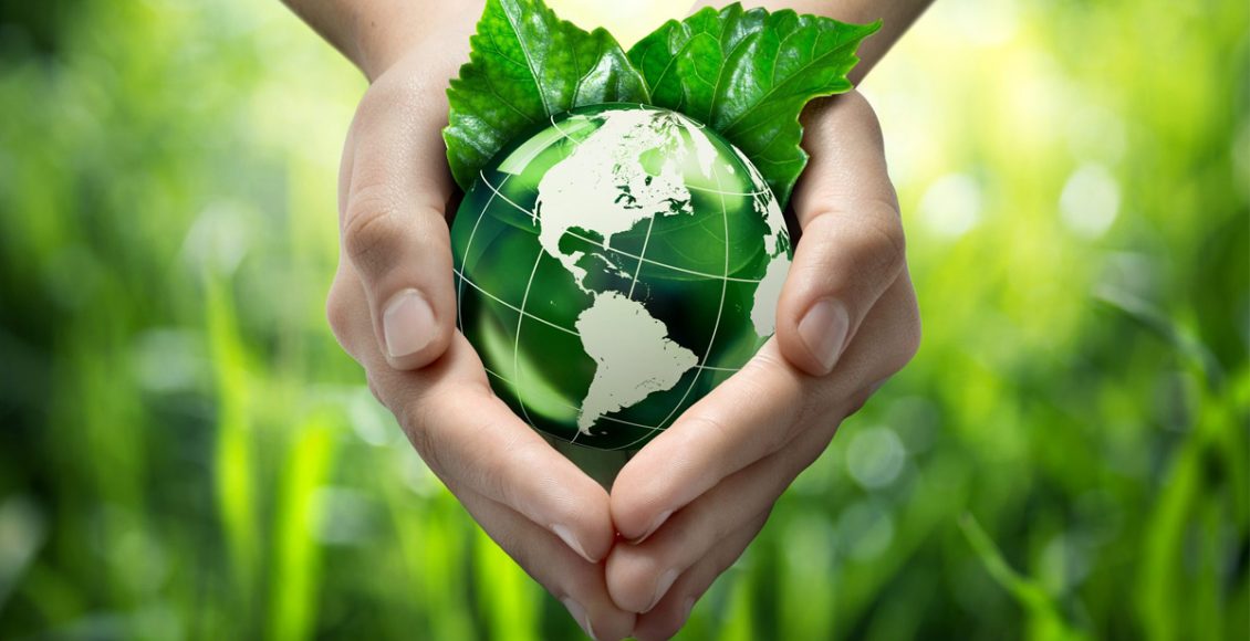 Transition towards Energy-Smart Production Systems in Agriculture