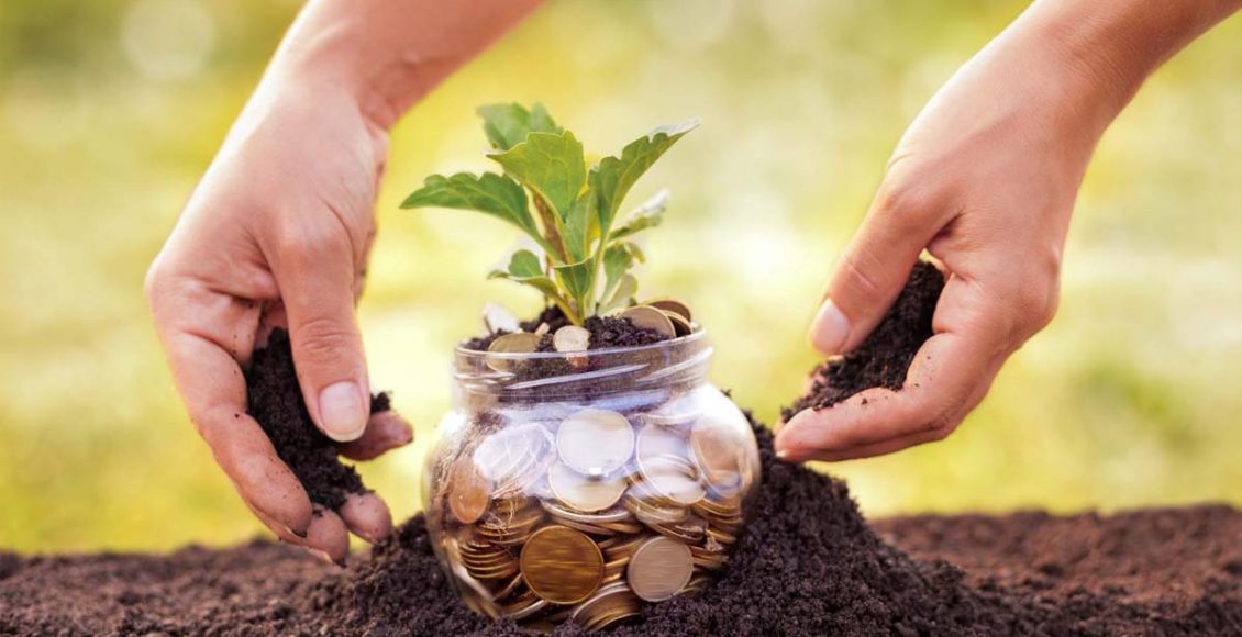 Agri value chain: Investment opportunities across processing, storage, and distribution