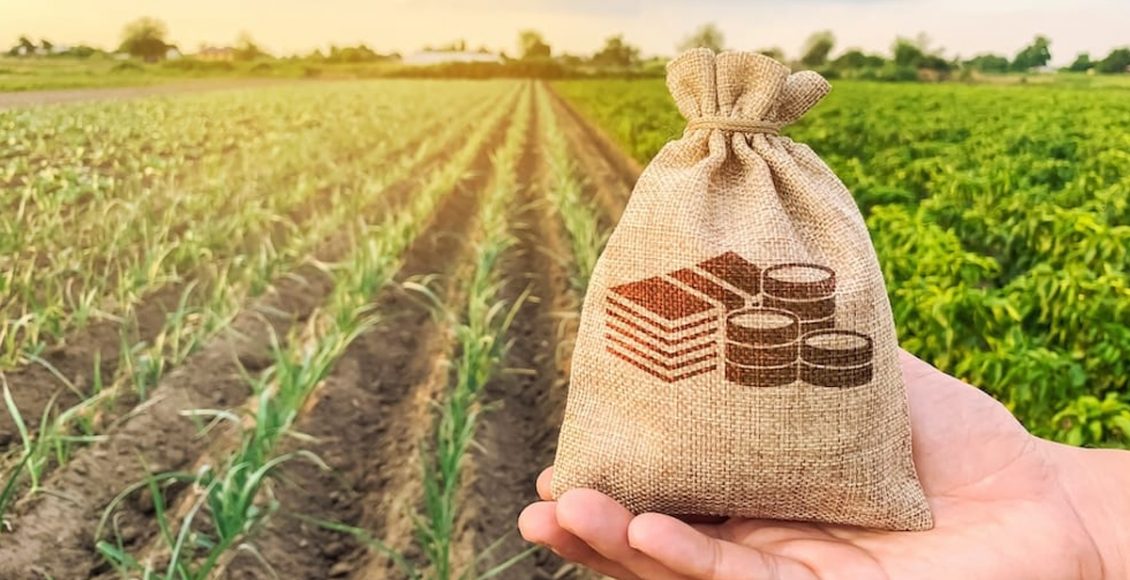 Investment Opportunities in Agri-inputs