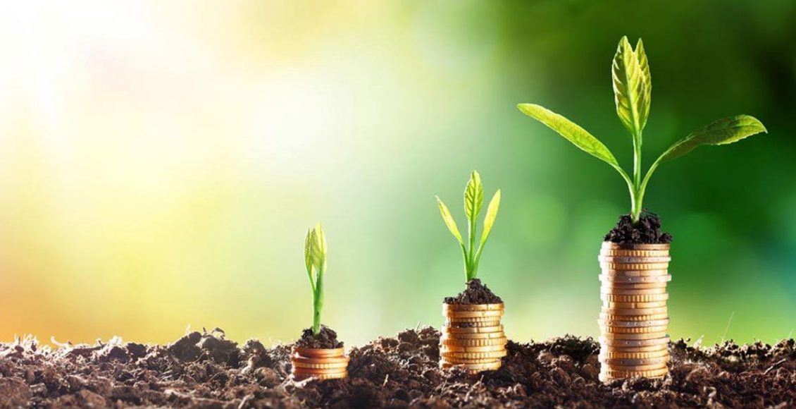 Trends in private capital flow in Indian agribusinesses