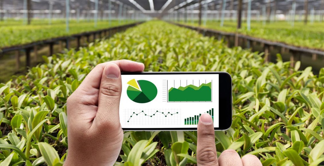 Big Data for climate smart agriculture: A potential not fully realized in India