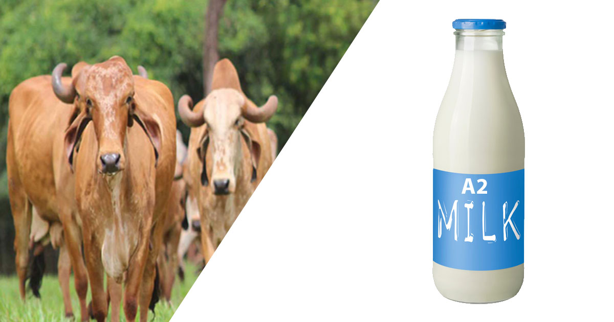 a2-branded-milk-in-the-indian-context-a-case-of-market-hype