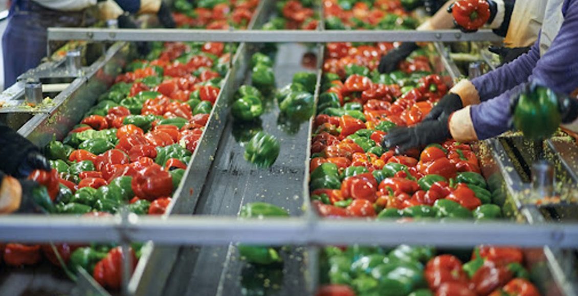 Farmgate Value Addition: Critical for increasing farm income and rural growth