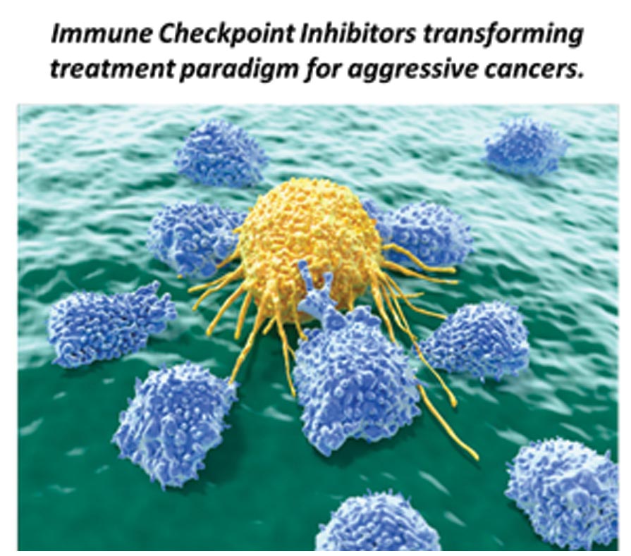 Immune-checkpoints-Inhibitors