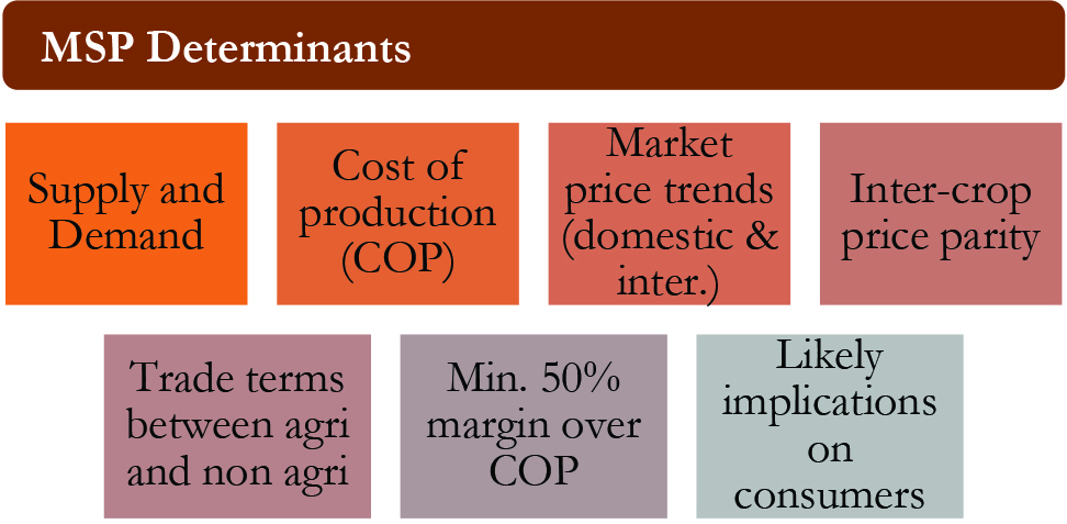 MSP Determinants