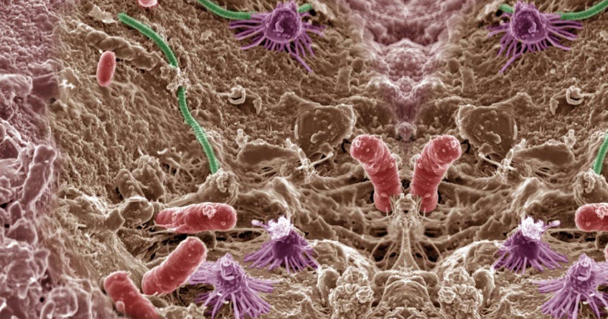 Revolutionizing Ag-Biologicals industry: Microbiome, an innovative approach