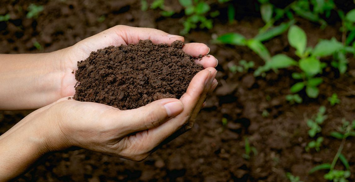 Scope of Carbon Credit market In Indian Agri Ecosystem