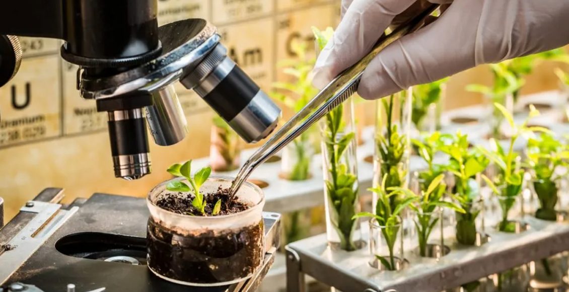 Technological advancements in Public sector research driving improvements in Agriculture