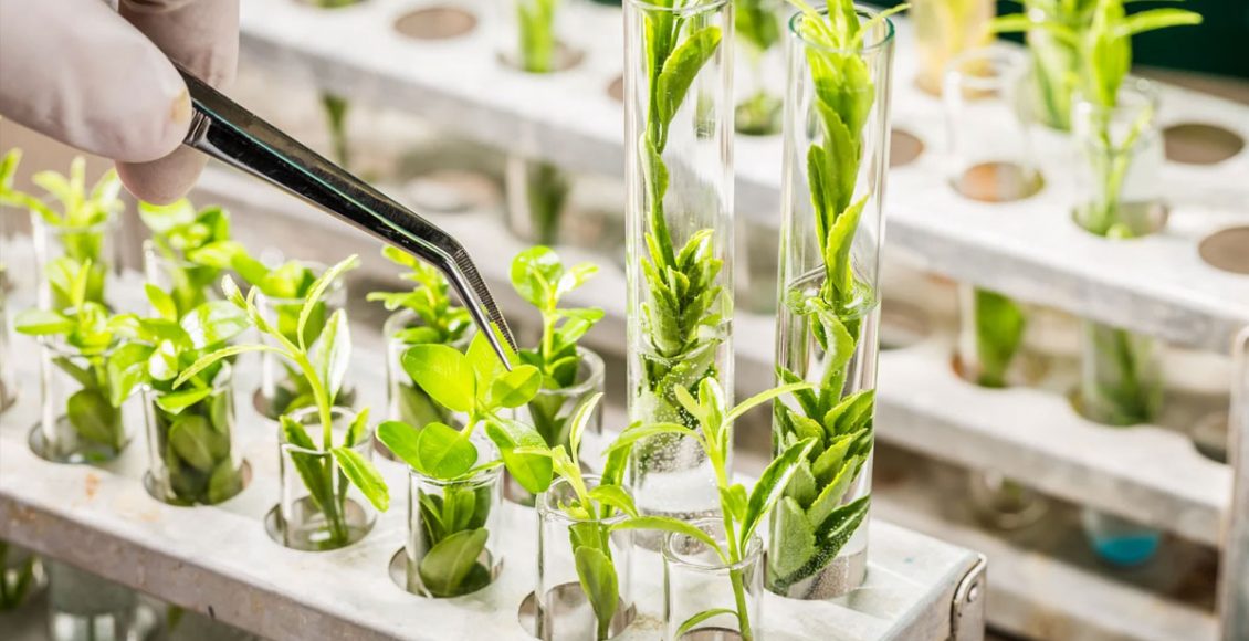 Technological advancements in Public sector research driving improvements in Agriculture