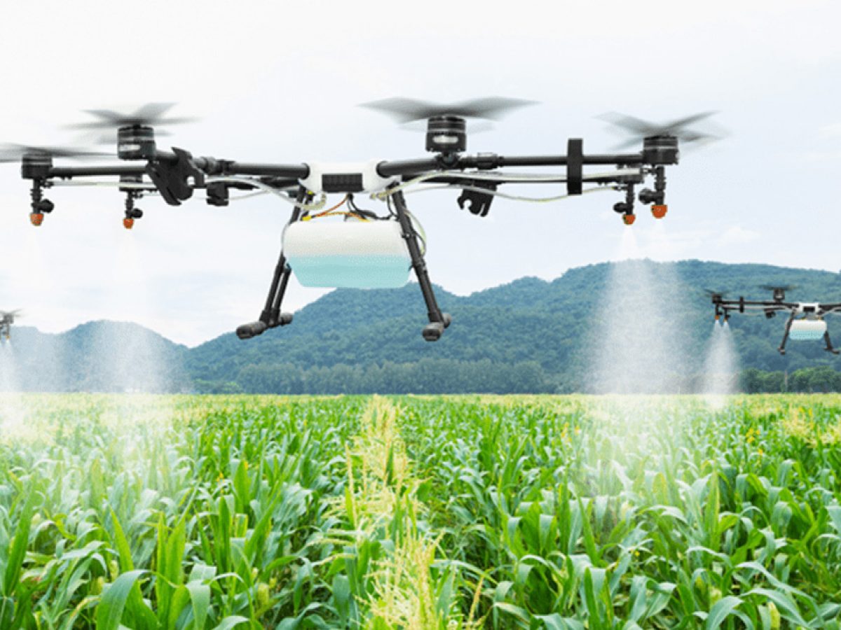 Unlocking the Buzz: The Future of Bee Drones in Agriculture - Potential Challenges and Limitations