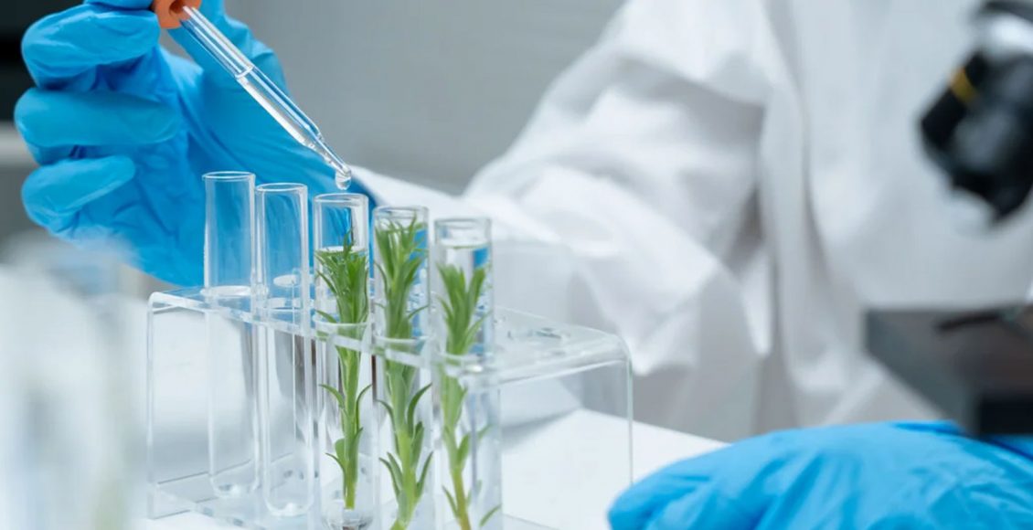 Going beyond digital revolution: Accelerating Applied Research for Transforming Agriculture