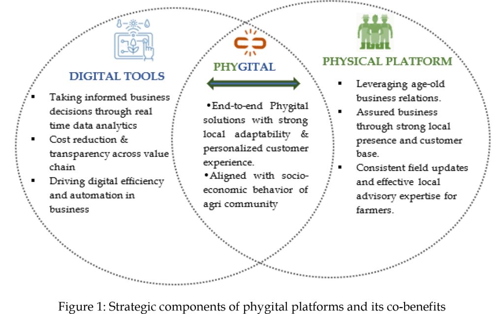 Figure 1: Strategic components of phygital platforms and its co-benefits