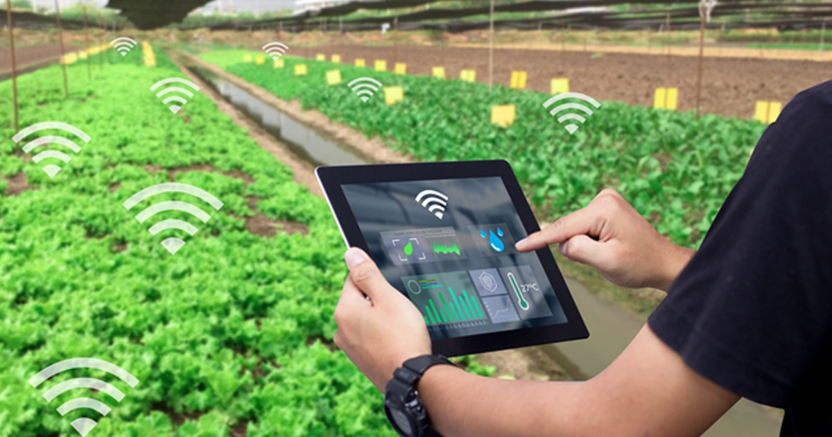 Technology led Transformation for Augmenting Post-Harvest Supply Chains