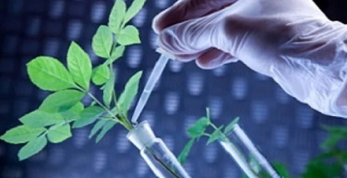 Going beyond digital revolution: Accelerating Applied Research for Transforming Agriculture