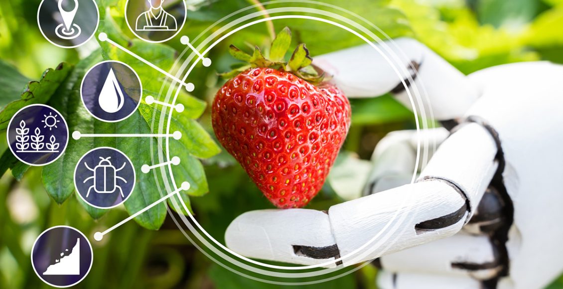 Agtech Innovations Holds Promise to Drive Transformation in Horticulture Sector