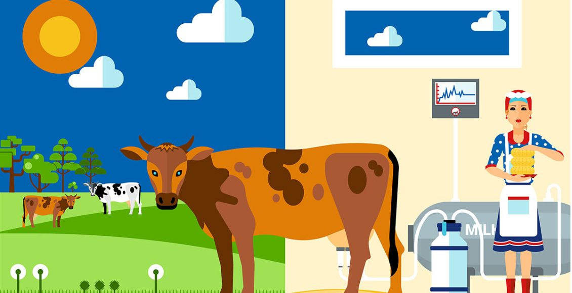 MOO-ving Forward: Trends, Challenges, and Way Forward for the Indian Dairy Industry