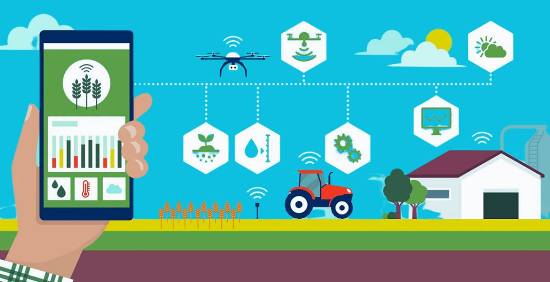From Farm to Fork: Unleashing AgTech’s Potential Throughout the Value Chain