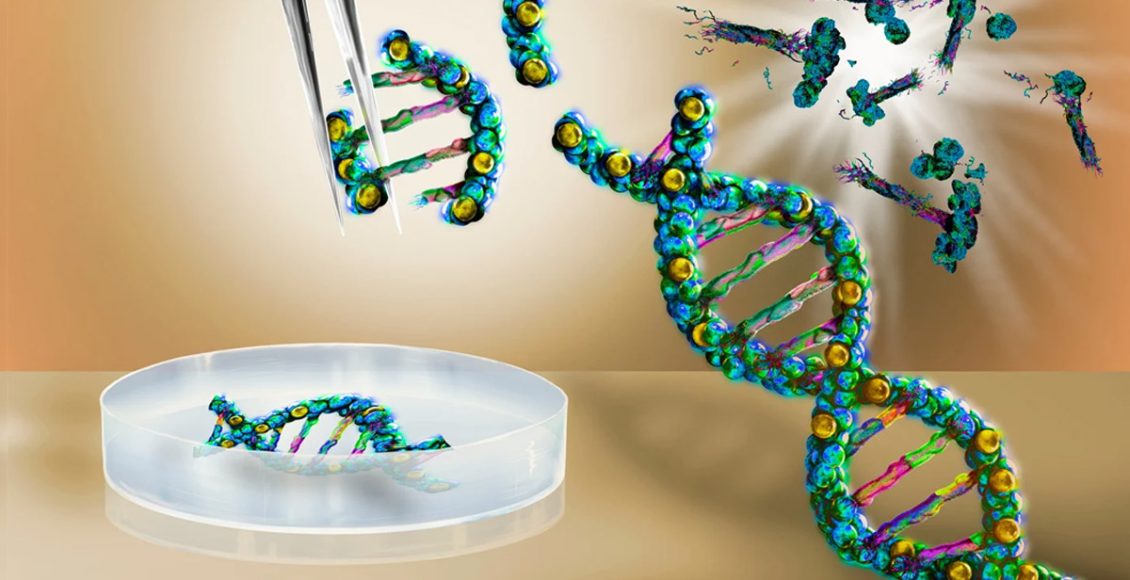 Genetic Revolution or Ethical Quandary – Seed Industry’s Gene Editing Crossroads in India