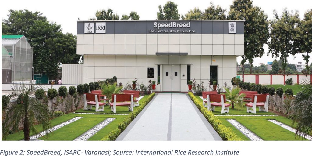 Figure 2: SpeedBreed, ISARC- Varanasi; Source: International Rice Research Institute